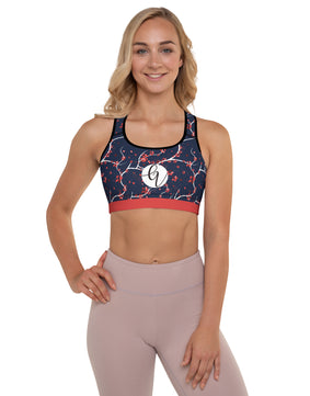 Shades of blue Padded Sports Bra