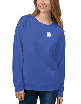 Blue coloured Sweatshirt